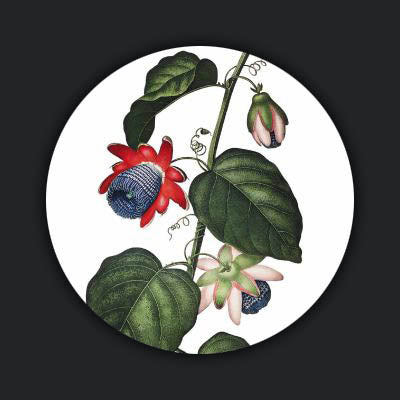 Bright wings 029 Walldecoration Wandkraft 50x50 cm