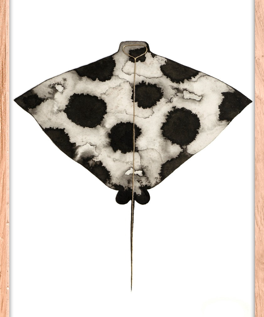 Eagle Ray (Outlet) Walldecoration Wandkraft