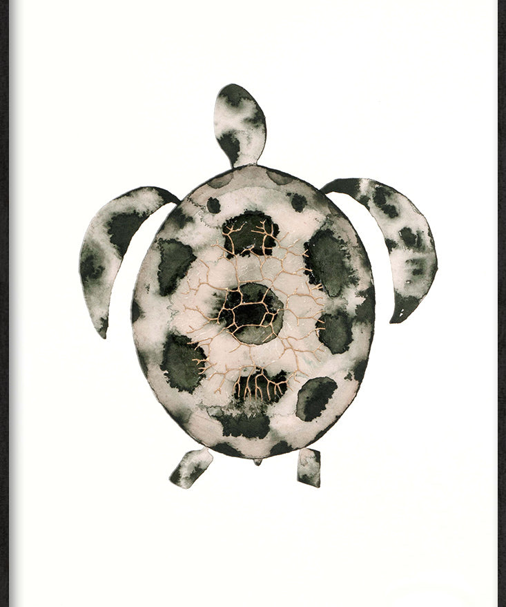Mr. Turtle (Outlet) Walldecoration Wandkraft 98x148 cm Houten Lijst Zwart