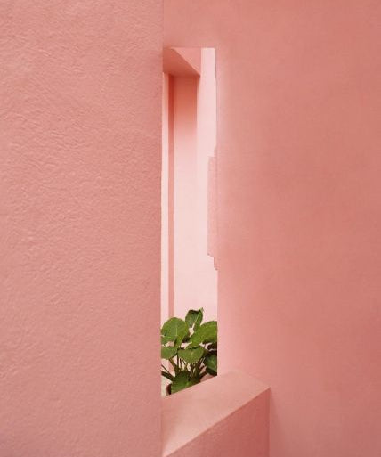 Pink Serenity Walldecoration Wandkraft 70x118 cm