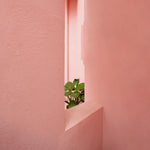 Pink Serenity Walldecoration Wandkraft 74x74 cm