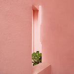 Pink Serenity Walldecoration Wandkraft 98x148 cm
