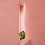 Pink Serenity Walldecoration Wandkraft 98x148 cm