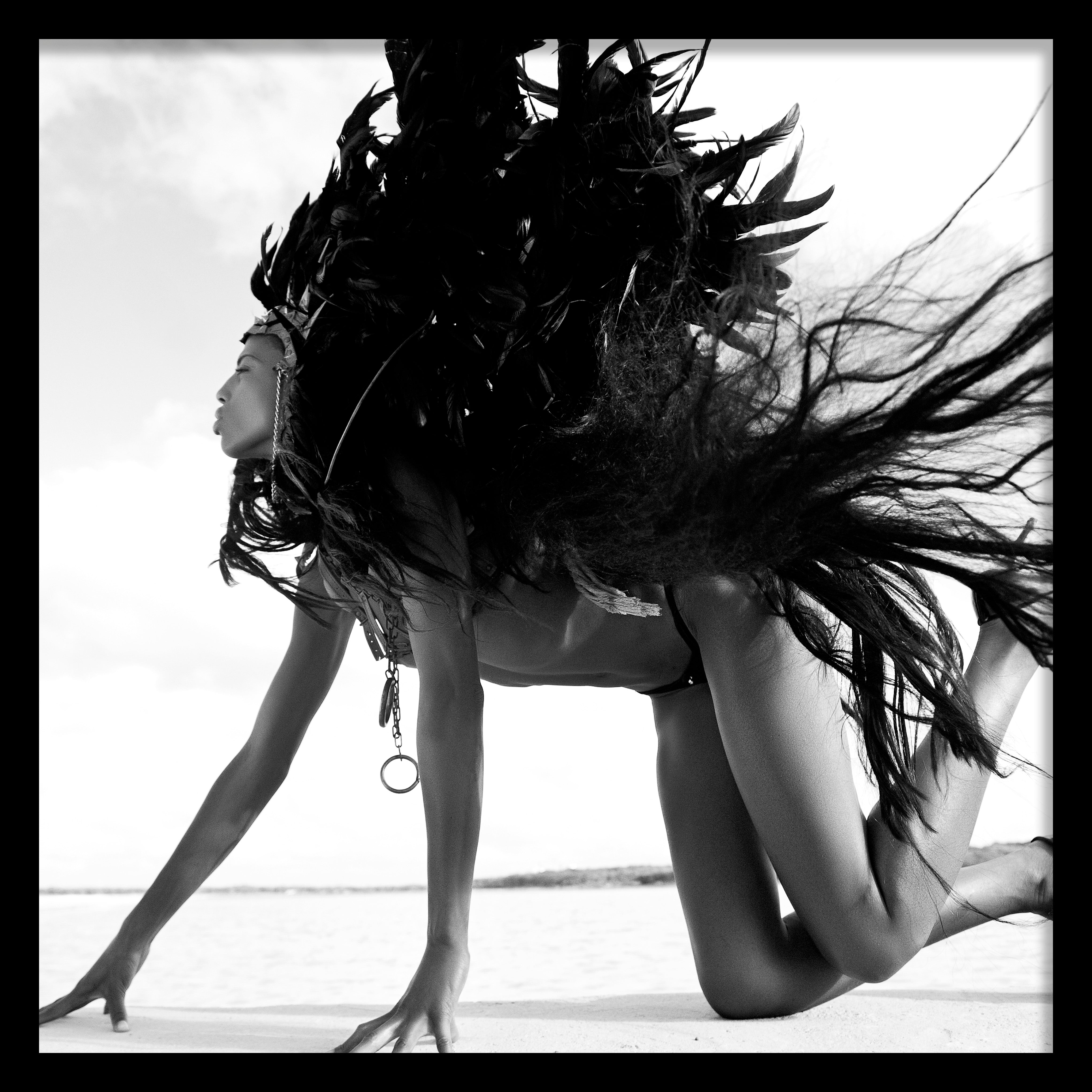 Black Swan Walldecoration Wandkraft 100x100 cm Paneellijst Zwart