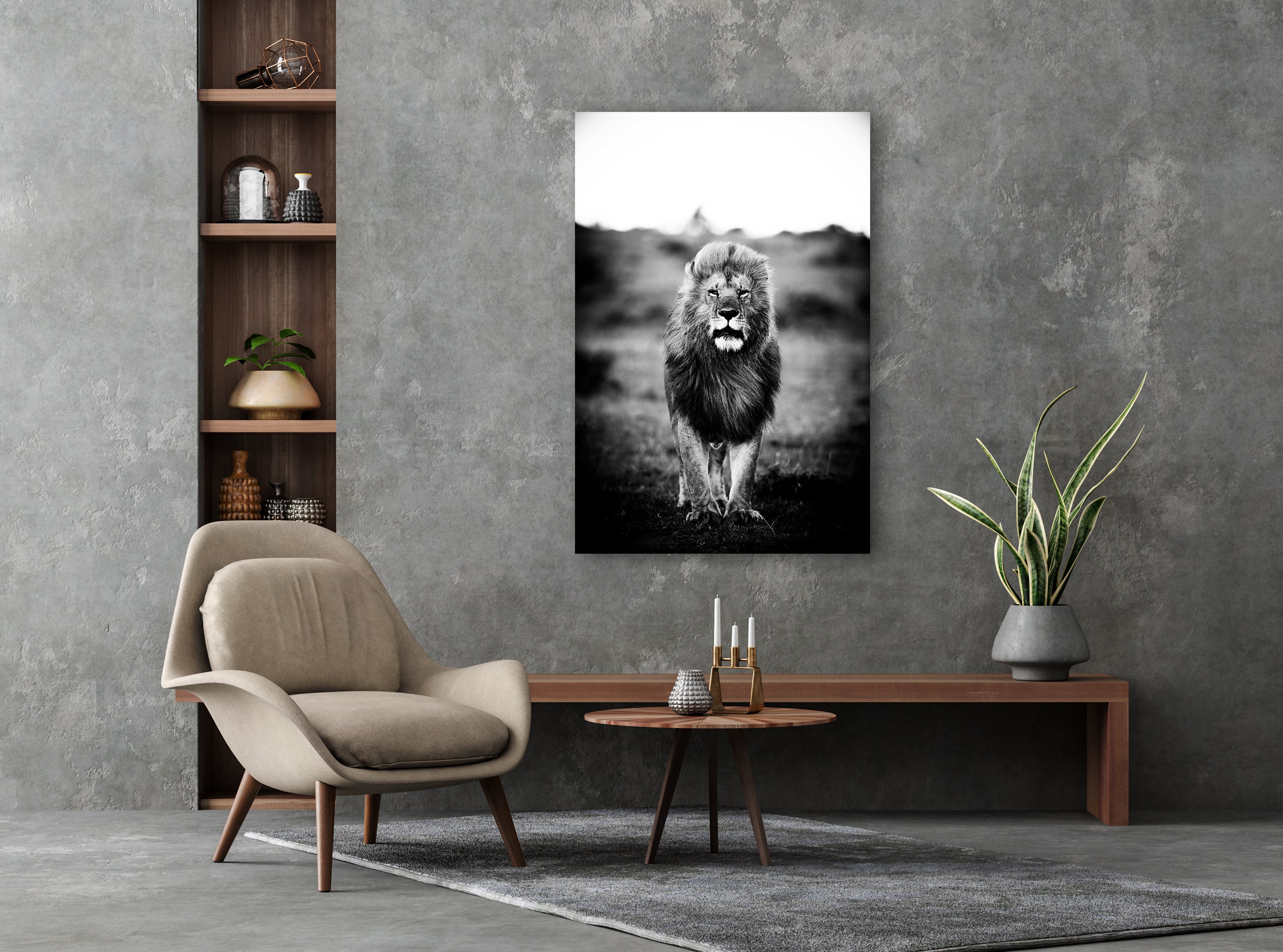 A Lions Portrait Walldecoration Wandkraft