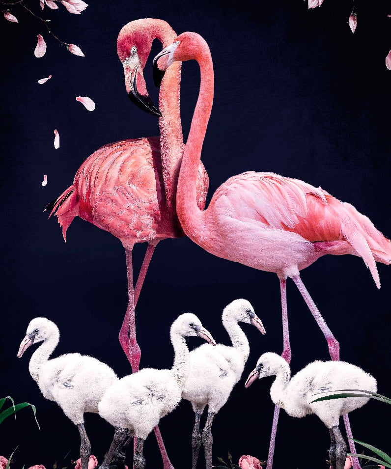 Flamingo Family Walldecoration Wandkraft 70x118 cm