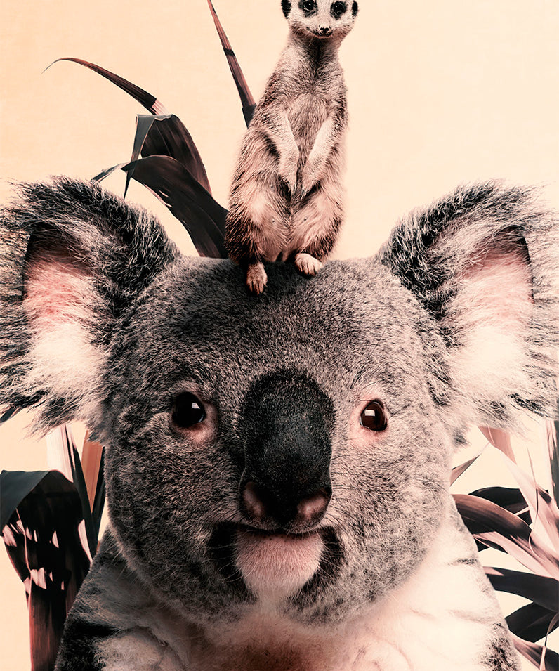 Koala and Meerkat Walldecoration Wandkraft 70x118 cm