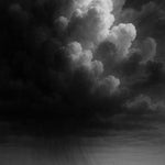 Storm Line - zwart-wit dierportret, Wandkraft