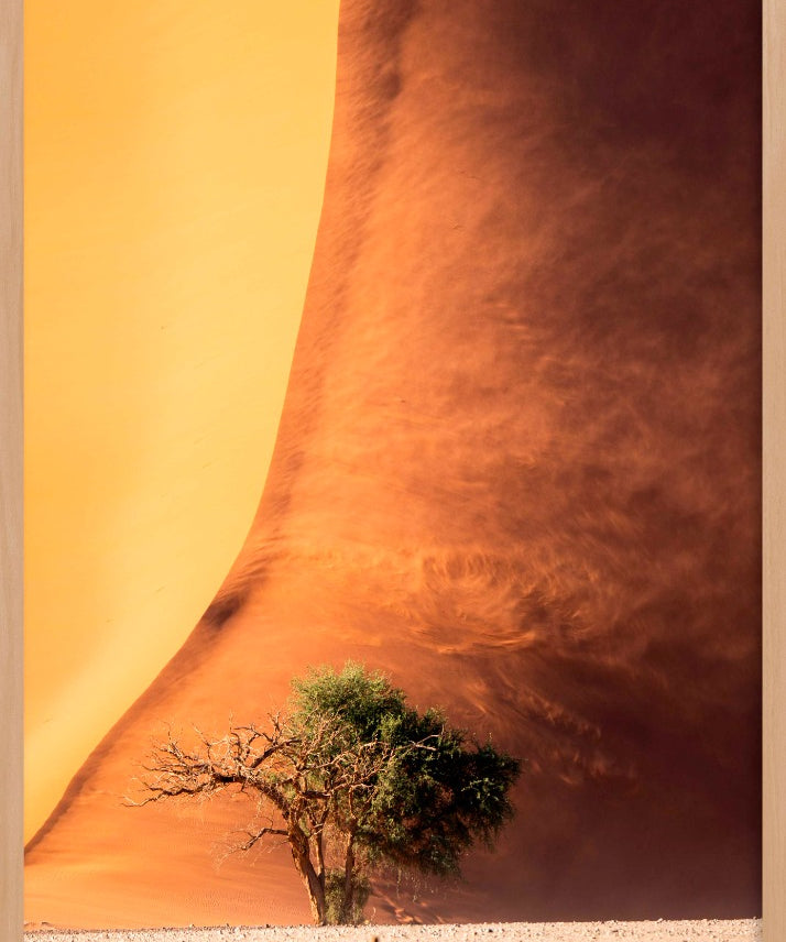 Desert Fury Walldecoration Wandkraft 70x118 cm Baklijst Blank