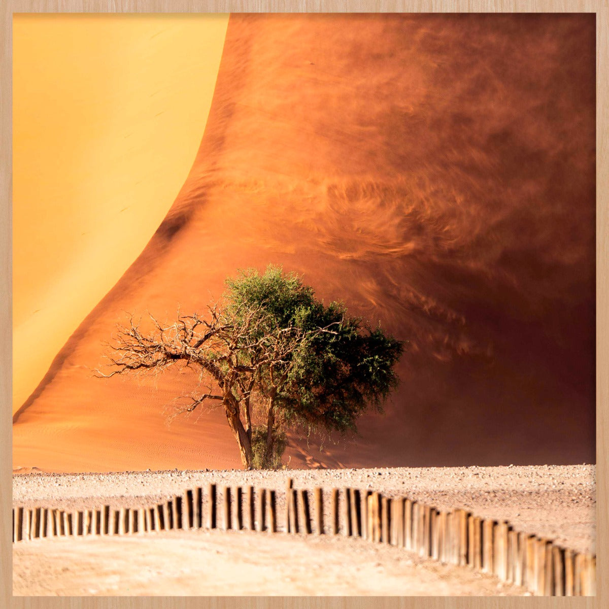 Desert Fury Walldecoration Wandkraft 74x74 cm Baklijst Blank