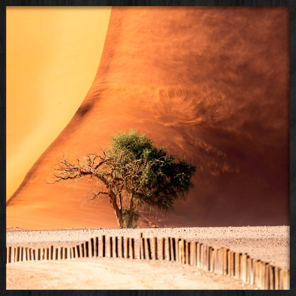 Desert Fury Walldecoration Wandkraft 74x74 cm Baklijst Zwart