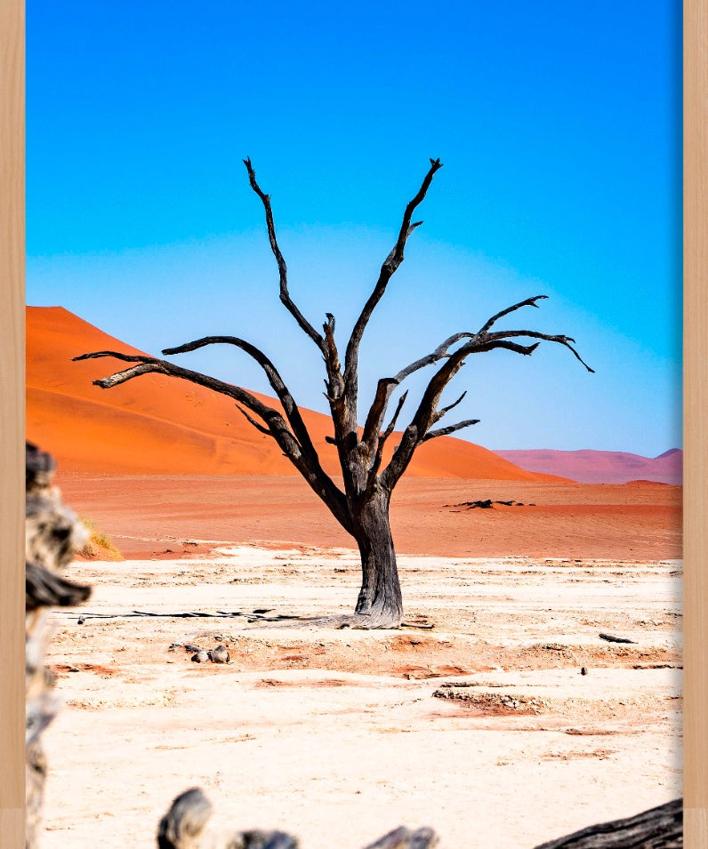 Weathered Tree Walldecoration Wandkraft 70x118 cm Baklijst Blank