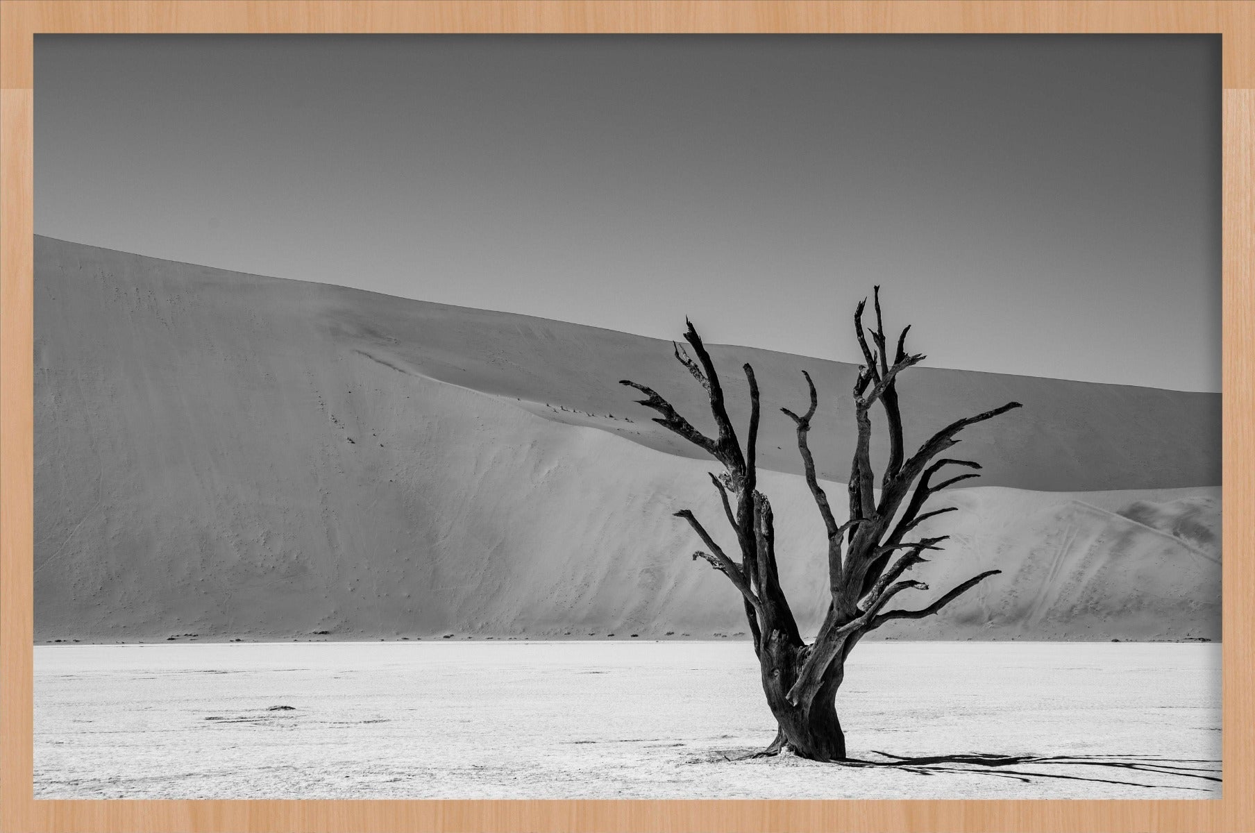 Shadows of Solitude Walldecoration Wandkraft 118x70 cm