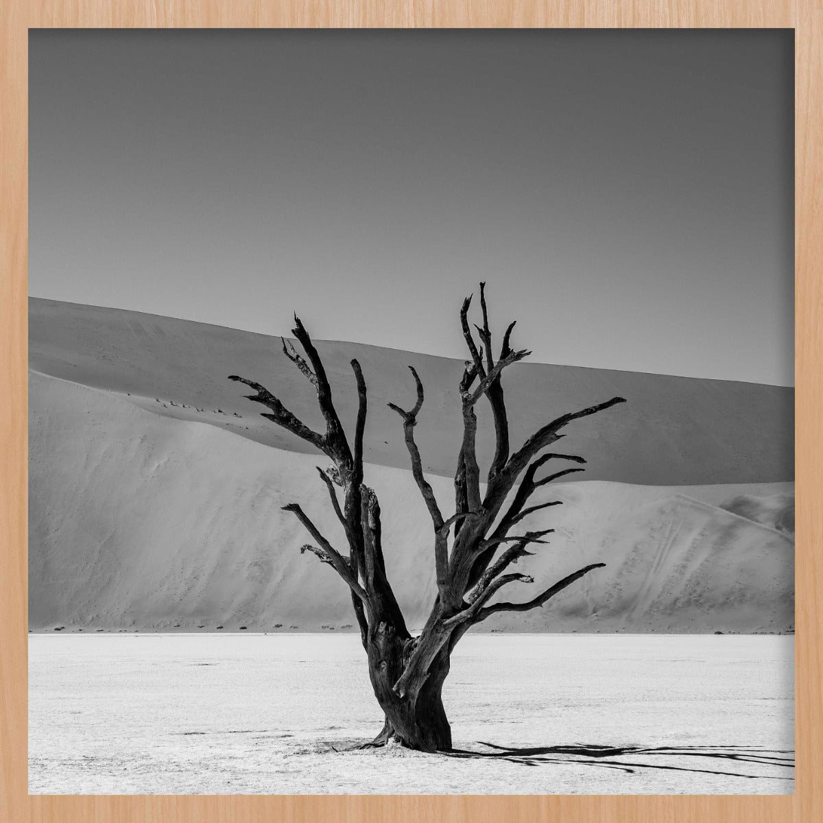 Shadows of Solitude Walldecoration Wandkraft 74x74 cm