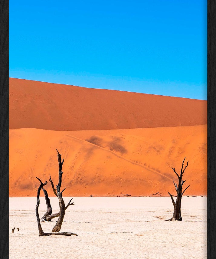 Dual Sentinels Walldecoration Wandkraft 70x118 cm Baklijst Zwart