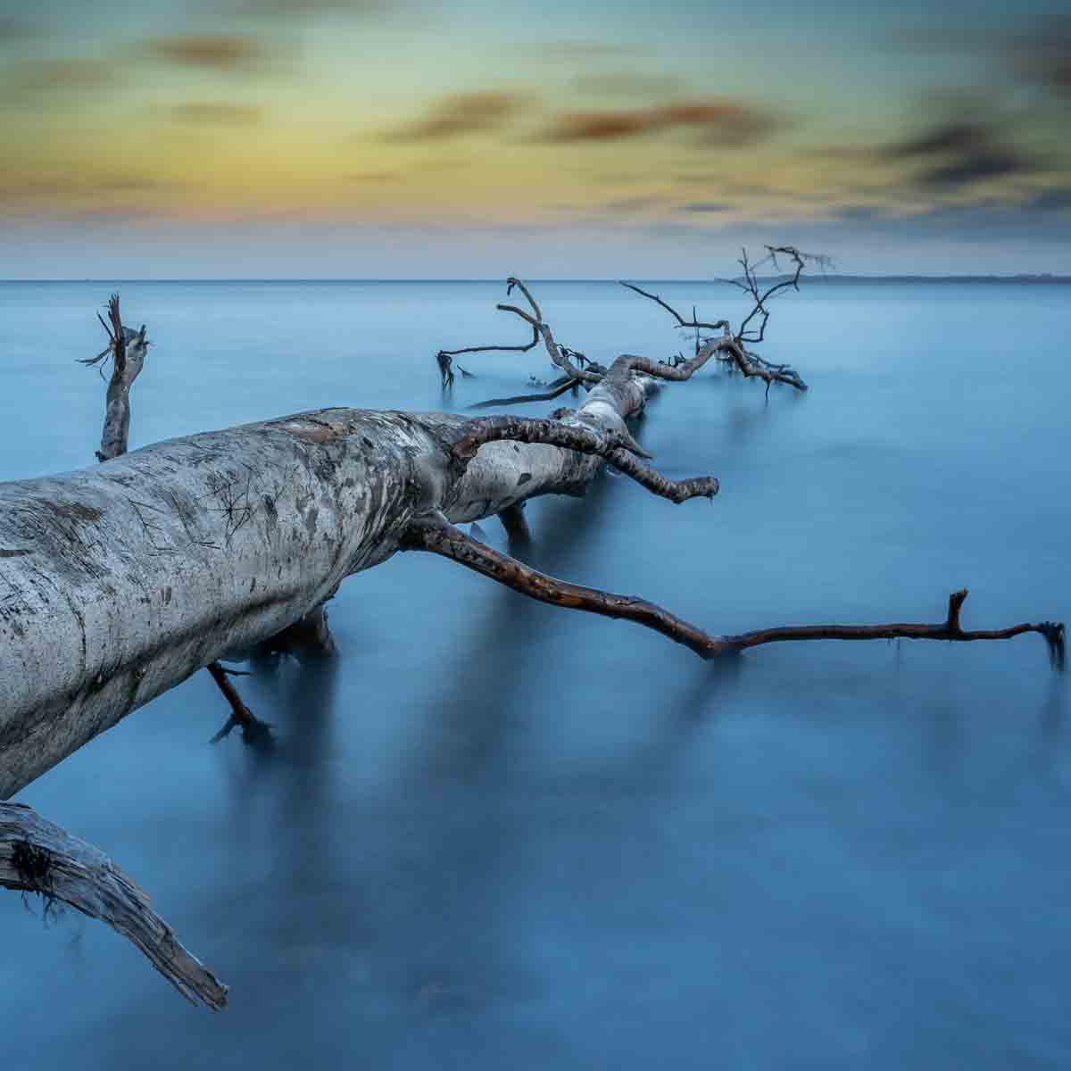 Art of Nature 041 Walldecoration Wandkraft 74x74 cm