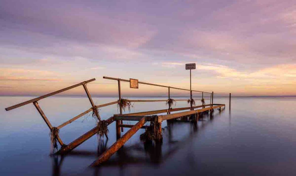 Art of Nature 042 Walldecoration Wandkraft 118x70 cm