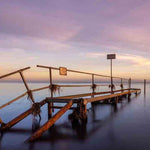 Art of Nature 042 Walldecoration Wandkraft 118x70 cm