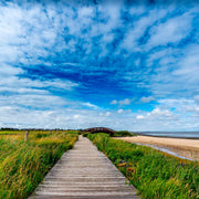 Décoration murale Wandkraft : Promenade en bois traversant une prairie verte vers un pont, œuvre murale nature aux tons doux, apaisante et élégante pour tout intérieur. pour un intérieur élégant