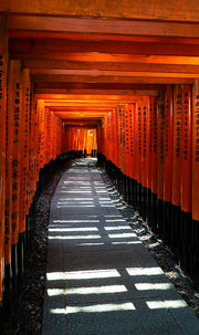 Décoration murale Wandkraft : Décoration murale avec un chemin de pierre sinueux sous des portiques torii rouges, style japonais inspiré de Kyoto, ambiance chaleureuse. pour un intérieur élégant