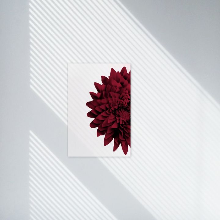 Magenta Fever 021 Walldecoration Wandkraft