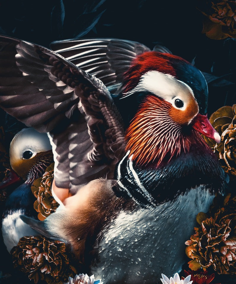 Mandarin Ducks Walldecoration Wandkraft 70x118 cm