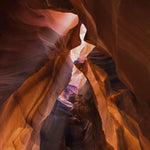 Art of Nature 005 Walldecoration Wandkraft