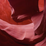 Art of Nature 006 Walldecoration Wandkraft 148x98 cm