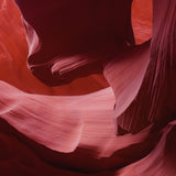 Art of Nature 006 Walldecoration Wandkraft 74x74 cm