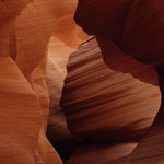 Art of Nature 007 Walldecoration Wandkraft 70x118 cm