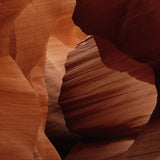 Art of Nature 007 Walldecoration Wandkraft 70x118 cm