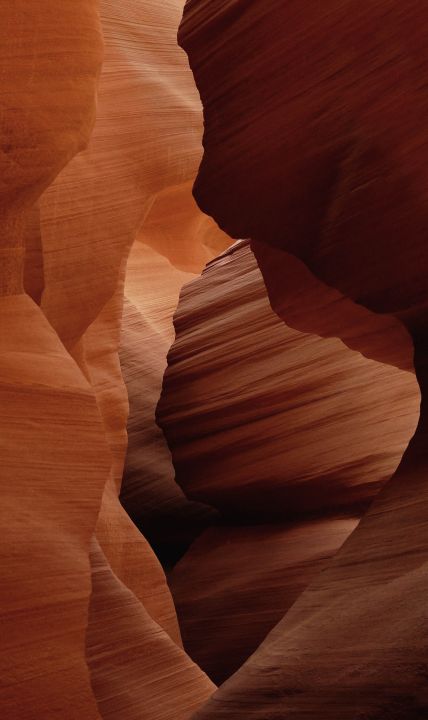 Art of Nature 007 Walldecoration Wandkraft 70x118 cm