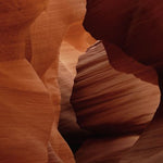 Art of Nature 007 Walldecoration Wandkraft 98x148 cm