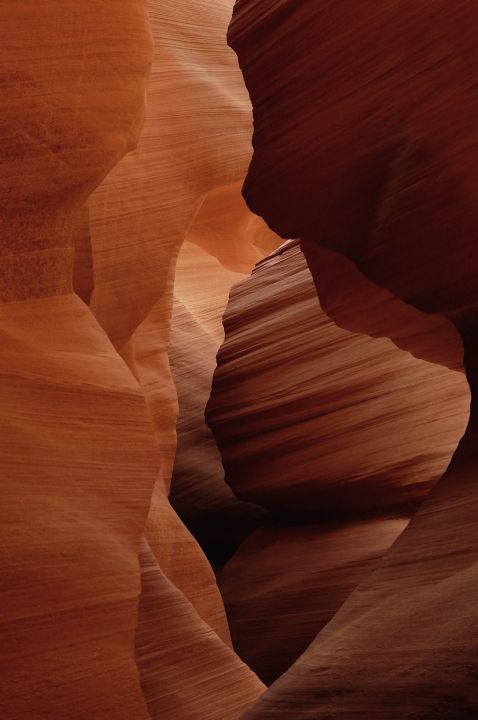 Art of Nature 007 Walldecoration Wandkraft 98x148 cm