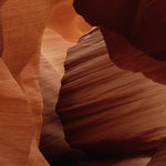 Art of Nature 007 Walldecoration Wandkraft 48x98 cm