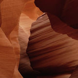 Art of Nature 007 Walldecoration Wandkraft 48x98 cm