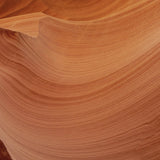 Art of Nature 008 Walldecoration Wandkraft