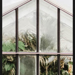 Botanical Stories 012 Walldecoration Wandkraft 70x118 cm Forex Houten lijst zwart