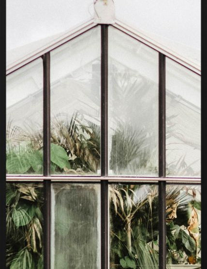 Botanical Stories 012 Walldecoration Wandkraft 70x118 cm Forex Houten lijst zwart
