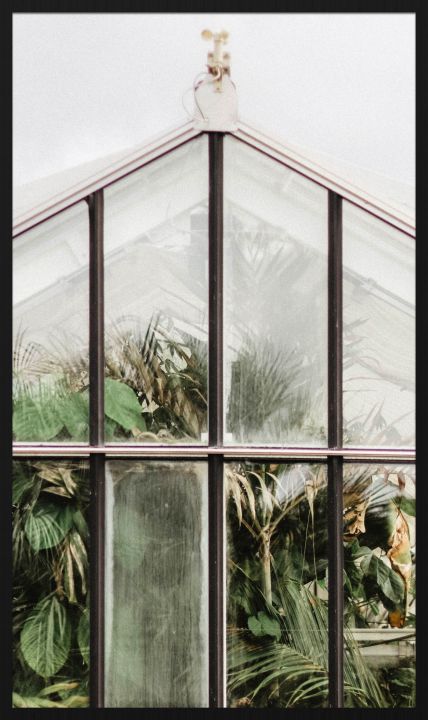 Botanical Stories 012 Walldecoration Wandkraft 70x118 cm Forex Houten lijst zwart
