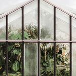 Botanical Stories 012 Walldecoration Wandkraft