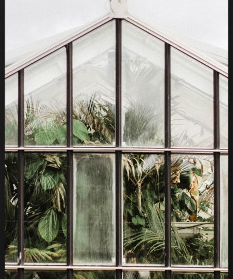 Botanical Stories 012 Walldecoration Wandkraft 70x118 cm