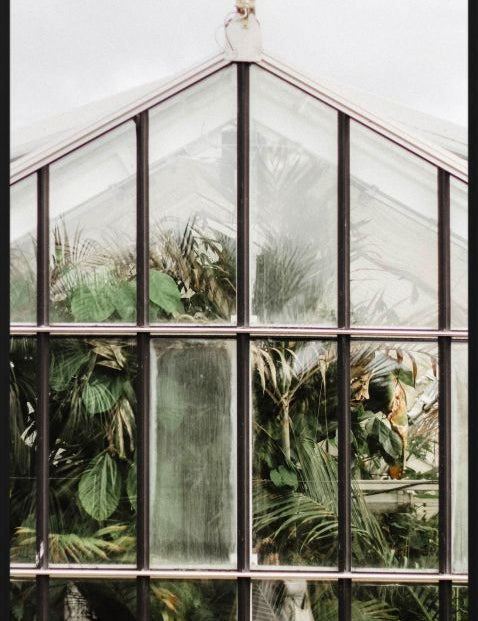 Botanical Stories 012 Walldecoration Wandkraft 98x148 cm Forex Houten lijst zwart
