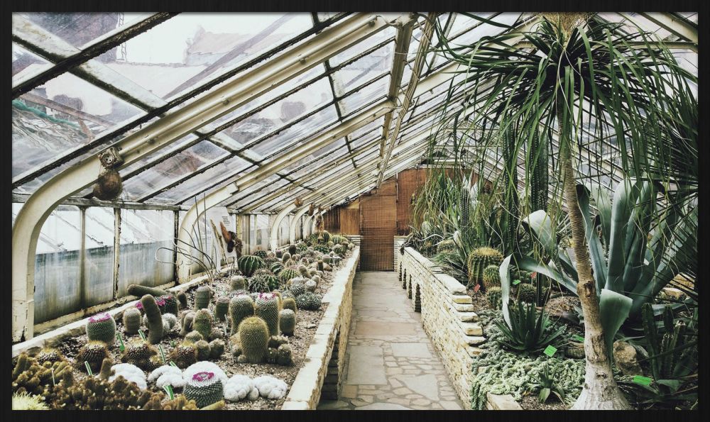 Botanical Stories 013 Walldecoration Wandkraft 118x70 cm