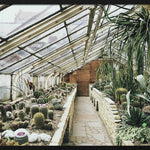 Botanical Stories 013 Walldecoration Wandkraft 118x70 cm
