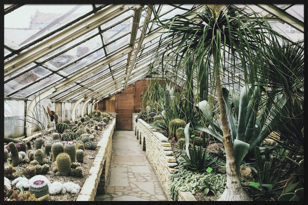 Botanical Stories 013 Walldecoration Wandkraft 148x98 cm