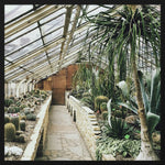 Botanical Stories 013 Walldecoration Wandkraft 74x74 cm