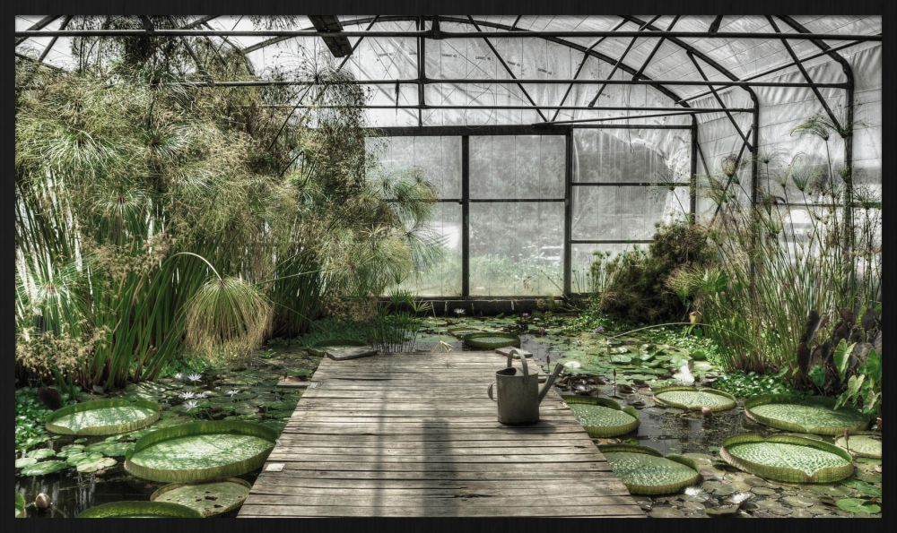 Botanical Stories 014 Walldecoration Wandkraft 118x70 cm