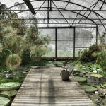 Botanical Stories 014 Walldecoration Wandkraft