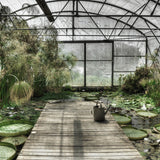 Botanical Stories 014 Walldecoration Wandkraft